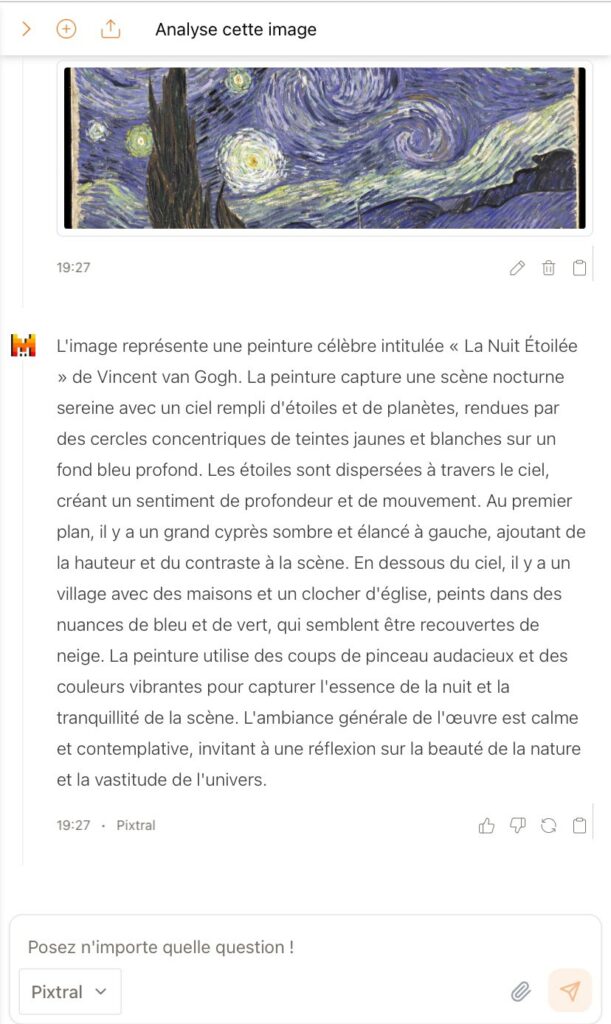 Pixtral / image 1